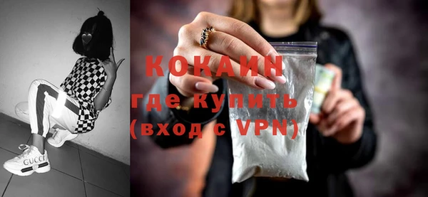 бошки Пересвет