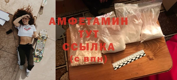 ПСИЛОЦИБИНОВЫЕ ГРИБЫ Горнозаводск