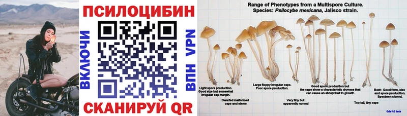 продажа наркотиков  Лукоянов  Псилоцибиновые грибы прущие грибы 